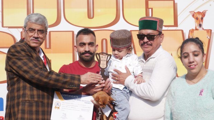 Mega Dog Show Panchkula Concludes With Diverse Breeds, Drawing Enthusiasts From Across Tricity
