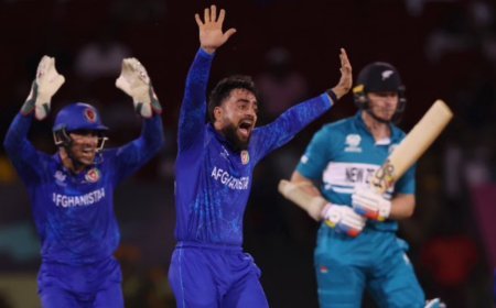 ICC T20 World Cup: Afghanistan Register A Massive 84 Run Win Over New Zealand