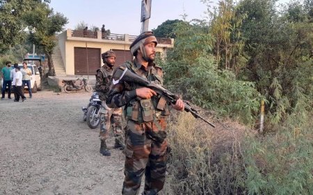 J&K Terror Attacks: 2 Terrorist Killed In Kathua District Of Jammu & Kashmir